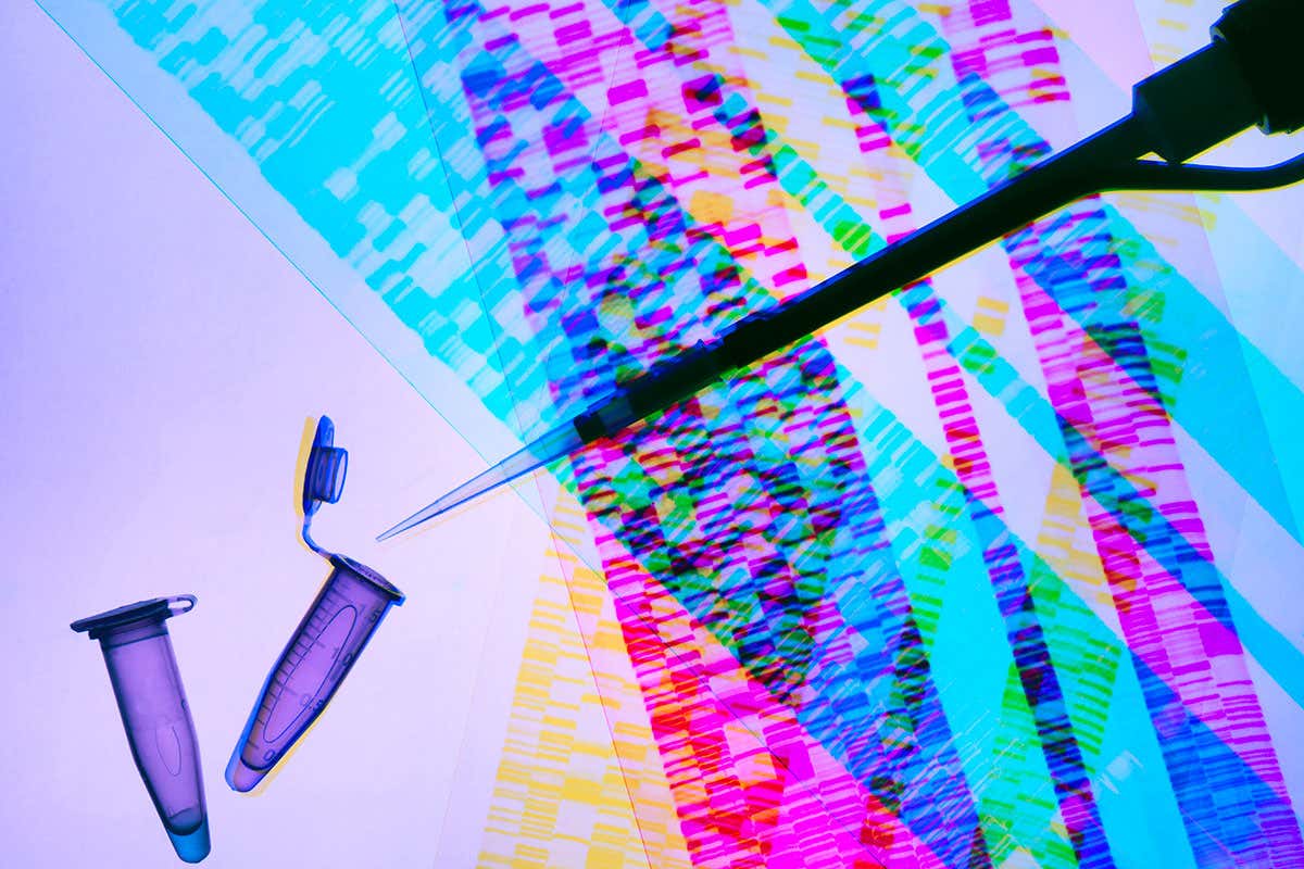 A sample and genetic information