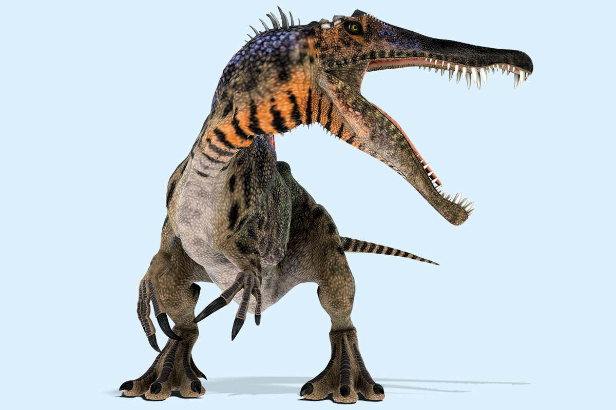 spinosaurus