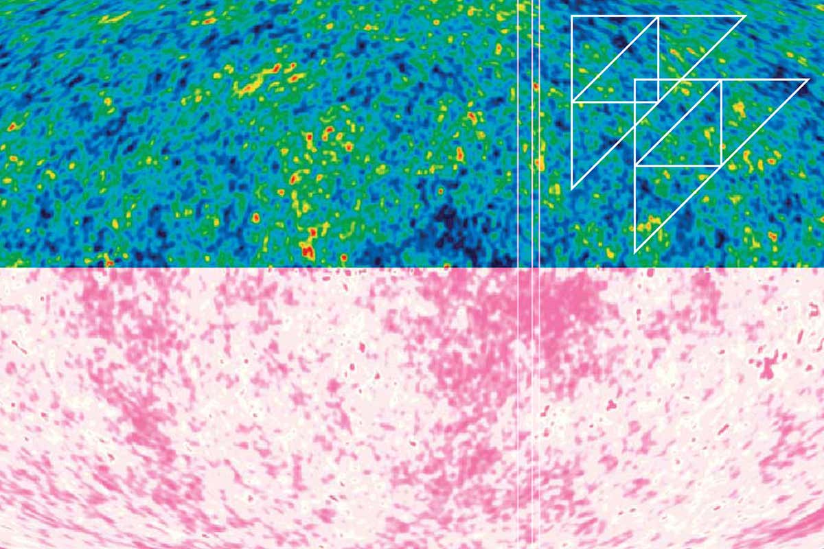 New Scientist. Science news and long reads from expert journalists, covering developments in science, technology, health and the environment on the website and the magazine.