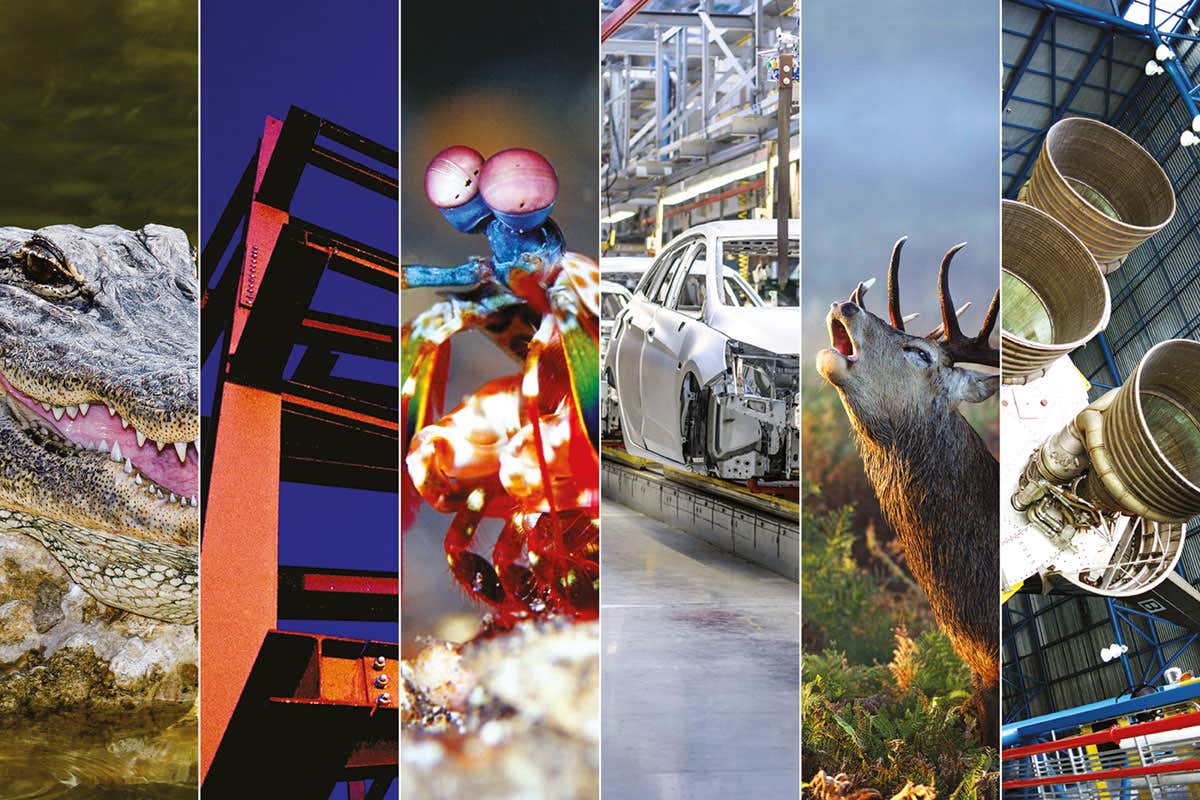 composite metals animals pic