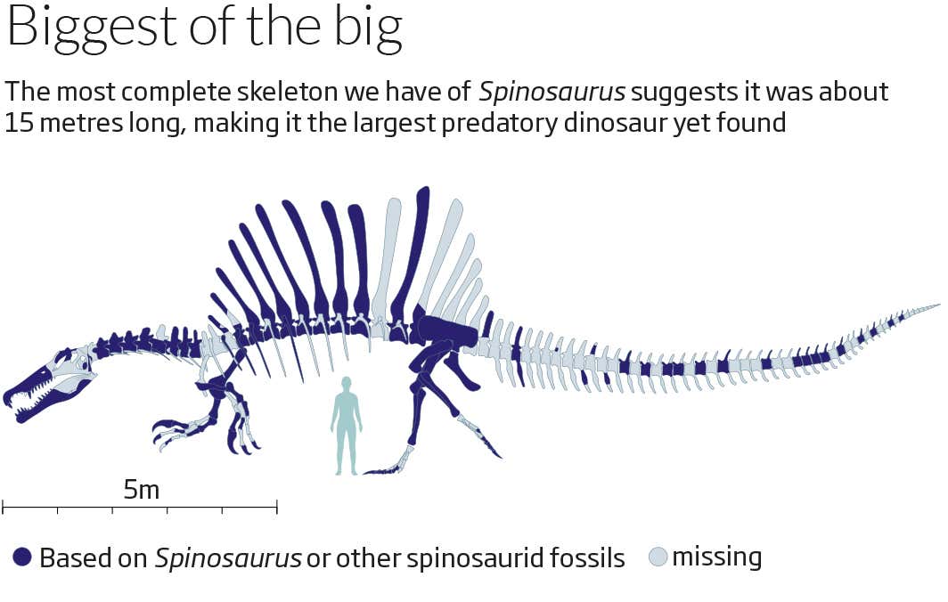 New Scientist. Science news and long reads from expert journalists, covering developments in science, technology, health and the environment on the website and the magazine.