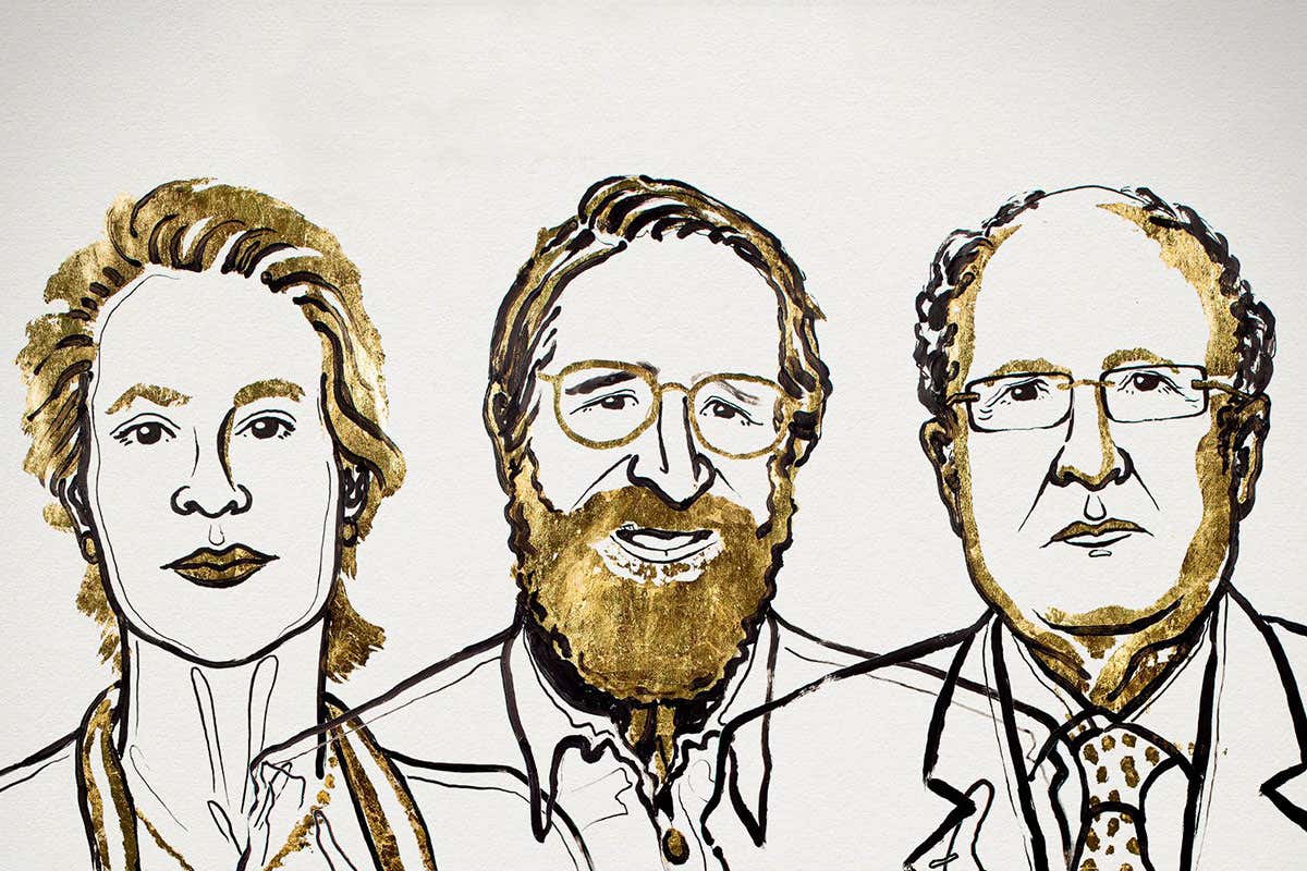 Chemistry Nobel Prize awarded for harnessing evolution to help humans