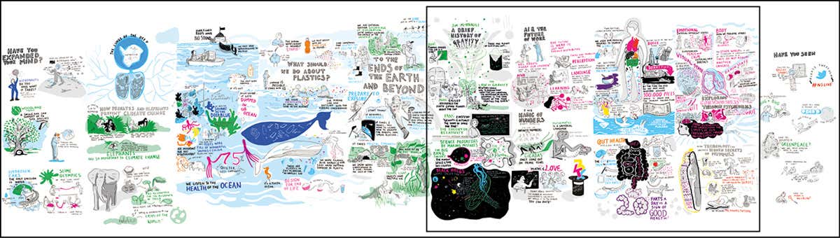 New Scientist. Science news and long reads from expert journalists, covering developments in science, technology, health and the environment on the website and the magazine.