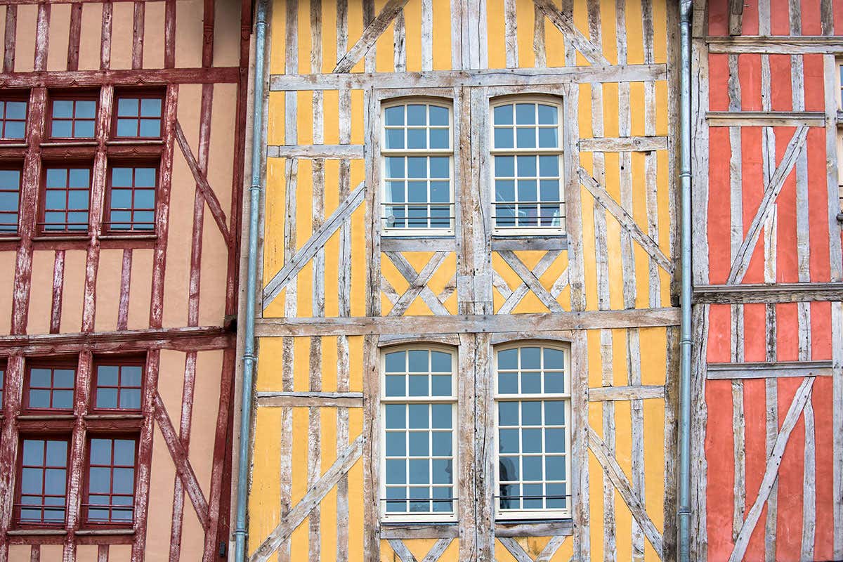 Tree rings reveal plague hit medieval Europe’s construction industry