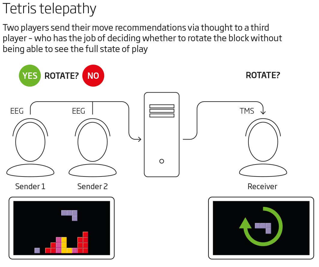 New Scientist. Science news and long reads from expert journalists, covering developments in science, technology, health and the environment on the website and the magazine.