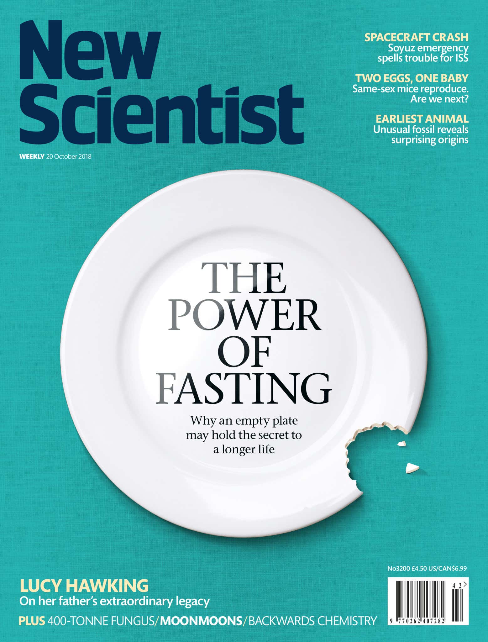 New Scientist issue 3200 cover