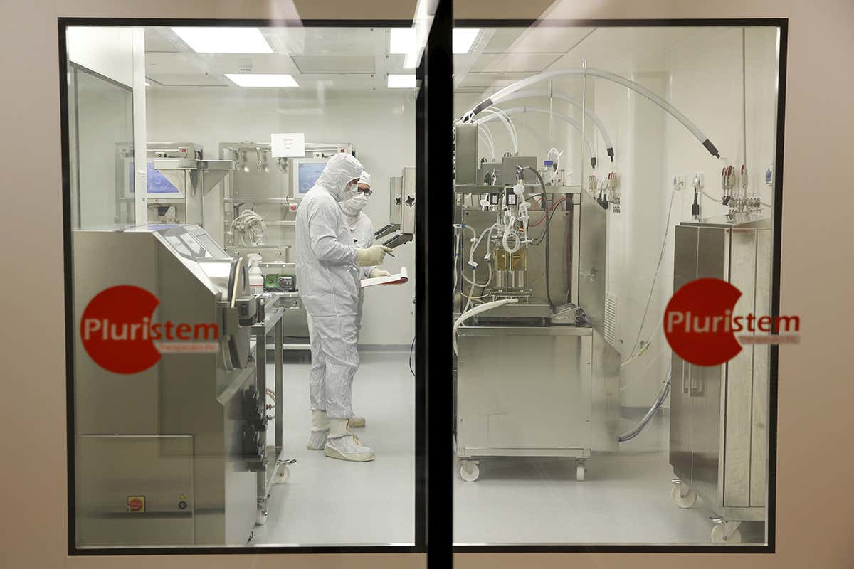 biologists working in lab