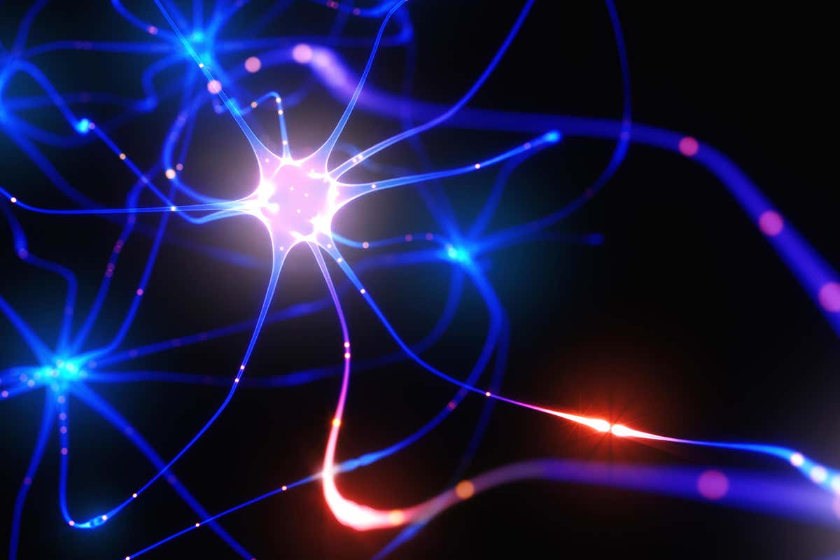artists impression of neuron
