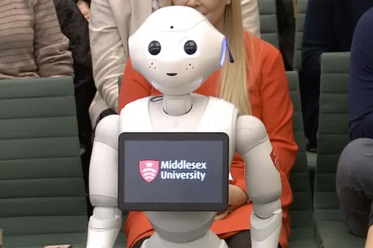 A Pepper model robot gives evidence in parliament