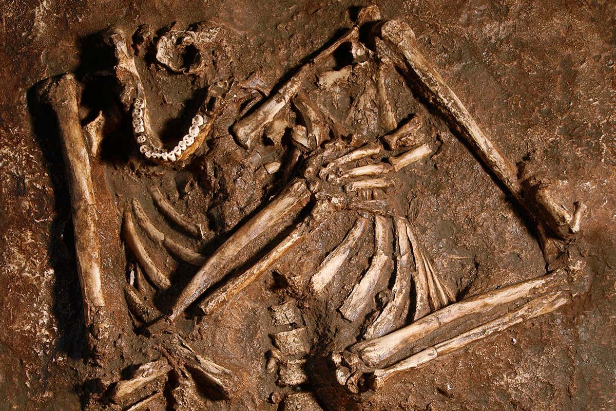 Neanderthals were stockier than us, so needed more oxygen