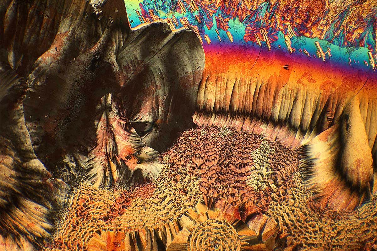 Liquid Crystal Display: a beautifully broken exhibition