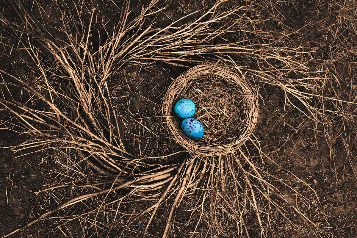 A pair of colourful eggs
