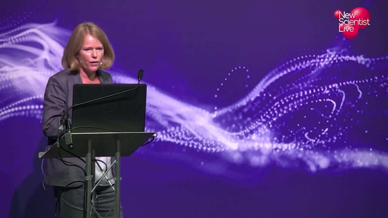 Deborah Greaves: The renewable revolution