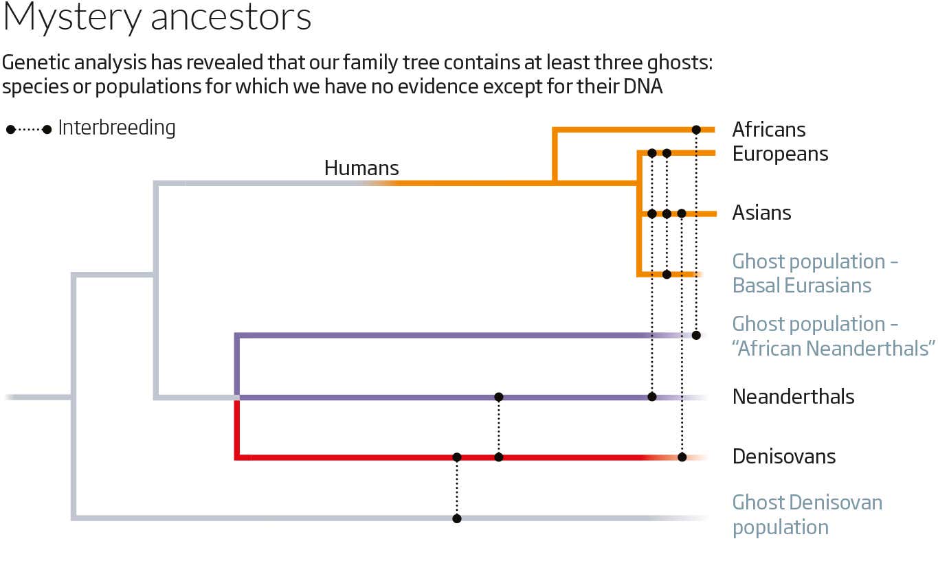 New Scientist. Science news and long reads from expert journalists, covering developments in science, technology, health and the environment on the website and the magazine.