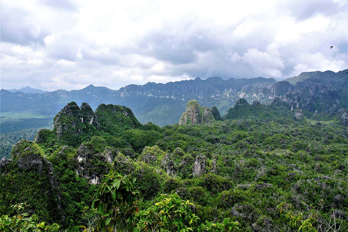 A landscape in Borneo