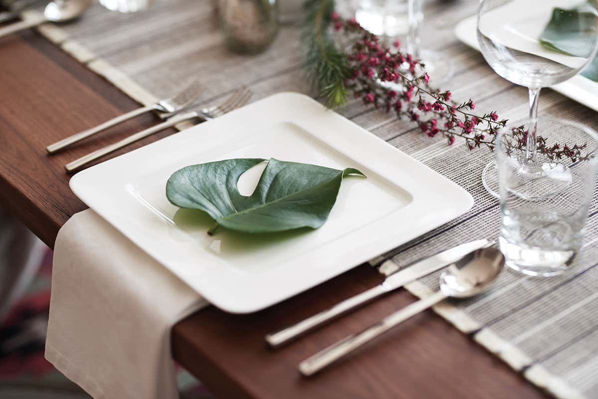leaf on a plate