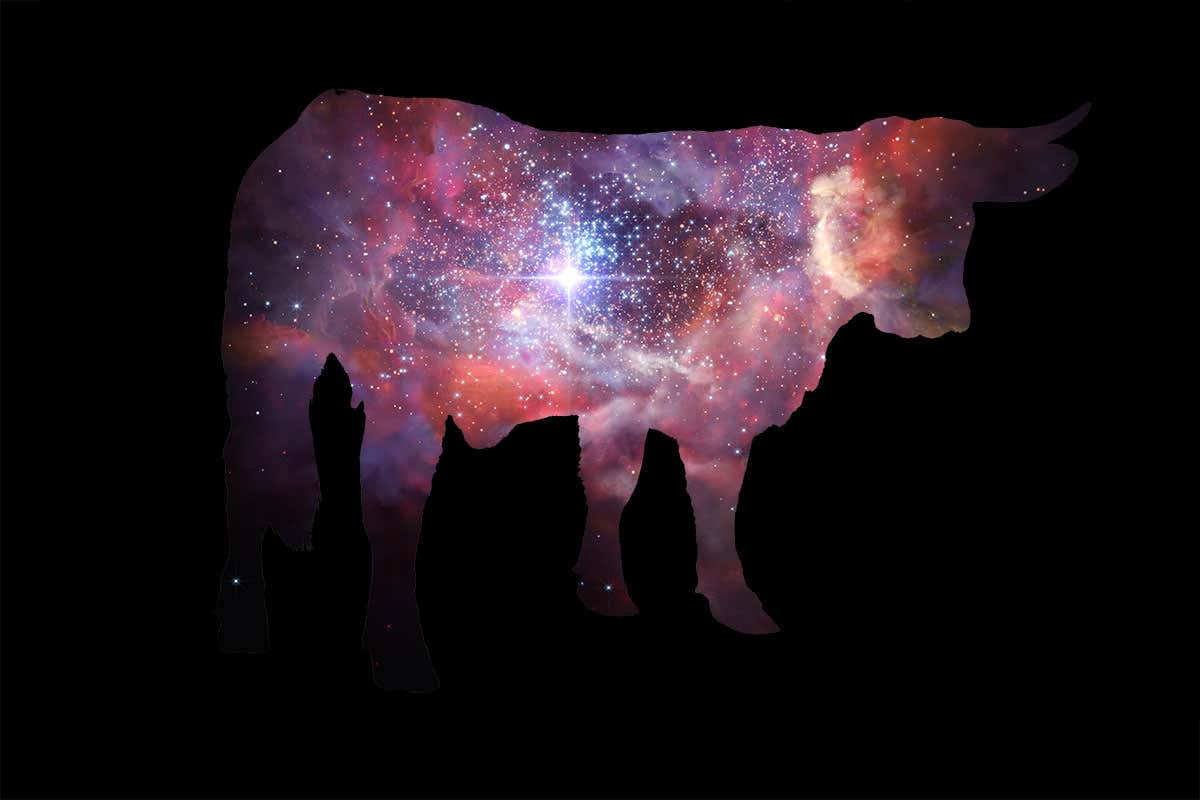 New Scientist. Science news and long reads from expert journalists, covering developments in science, technology, health and the environment on the website and the magazine.