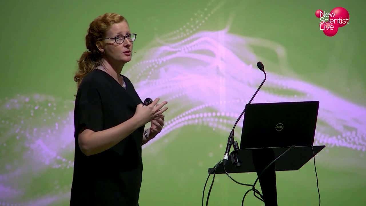 Judith Mank: Why do we have sex?