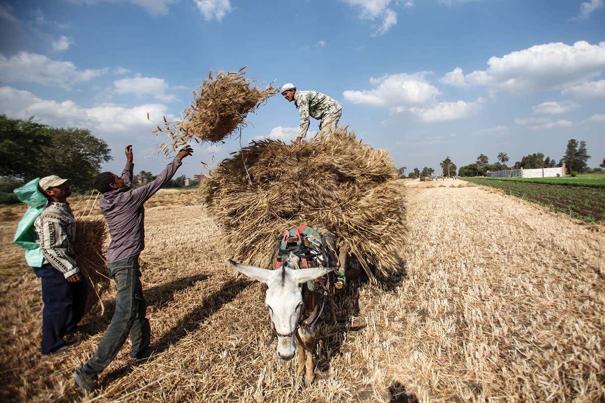 New Scientist. Science news and long reads from expert journalists, covering developments in science, technology, health and the environment on the website and the magazine.