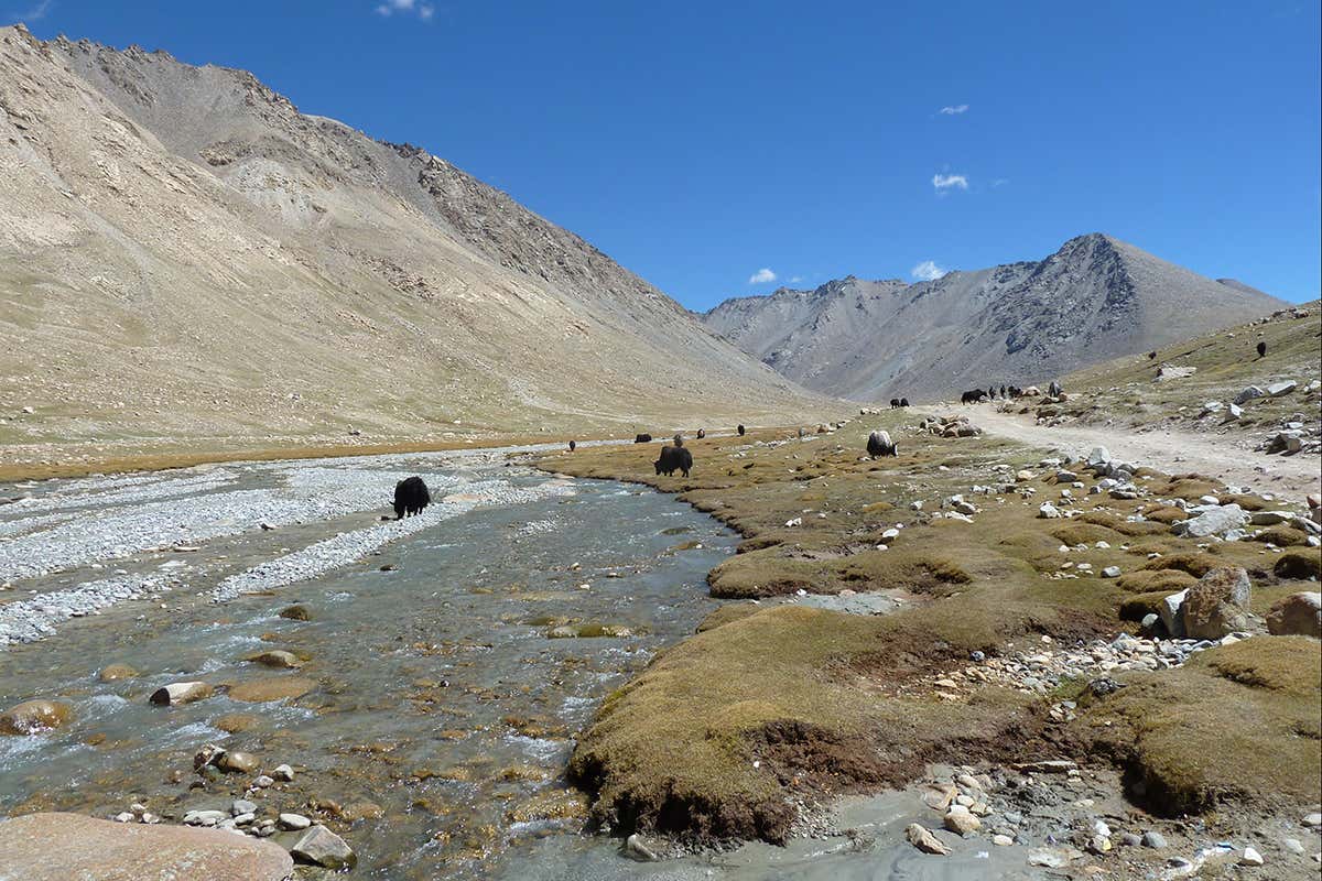 Extinct 'Denisovan' people may have lived on Earth's highest plateau