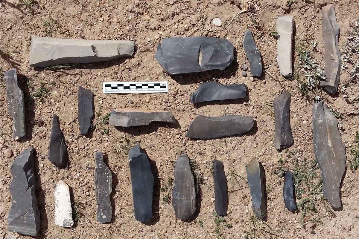 Some of the artefacts from Nwya Devu