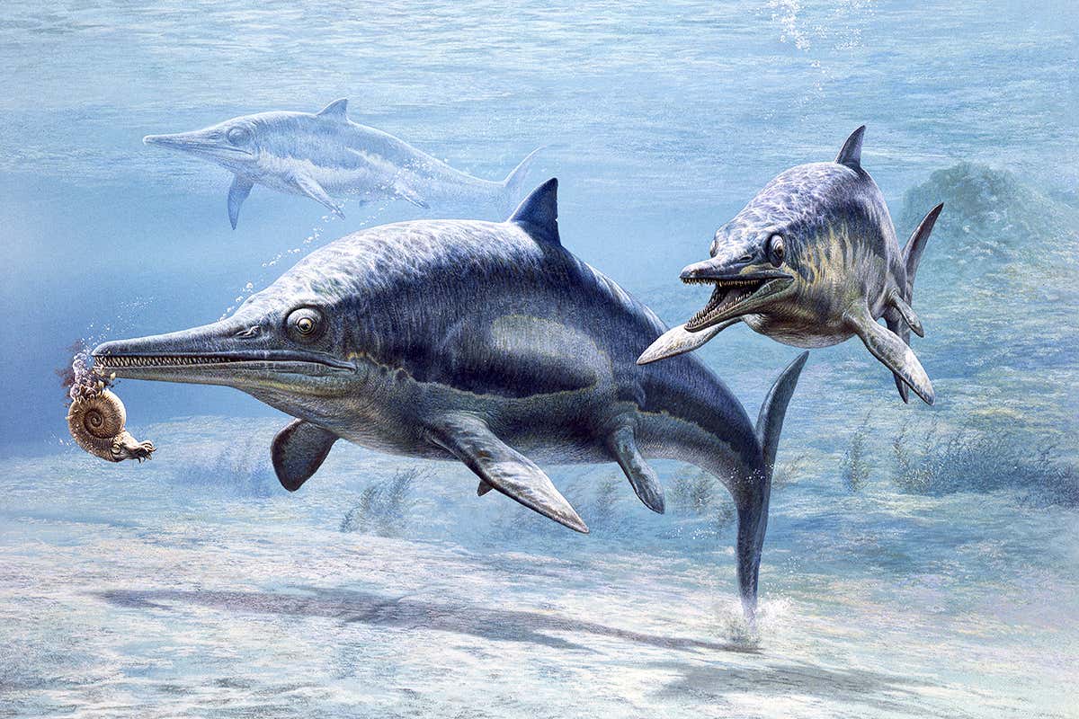 Fossil blubber shows ichthyosaurs were warm blooded reptiles