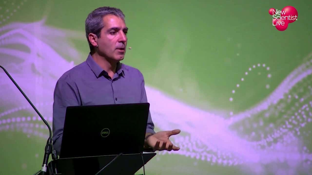 Serge Wich: How drones are conserving wildlife