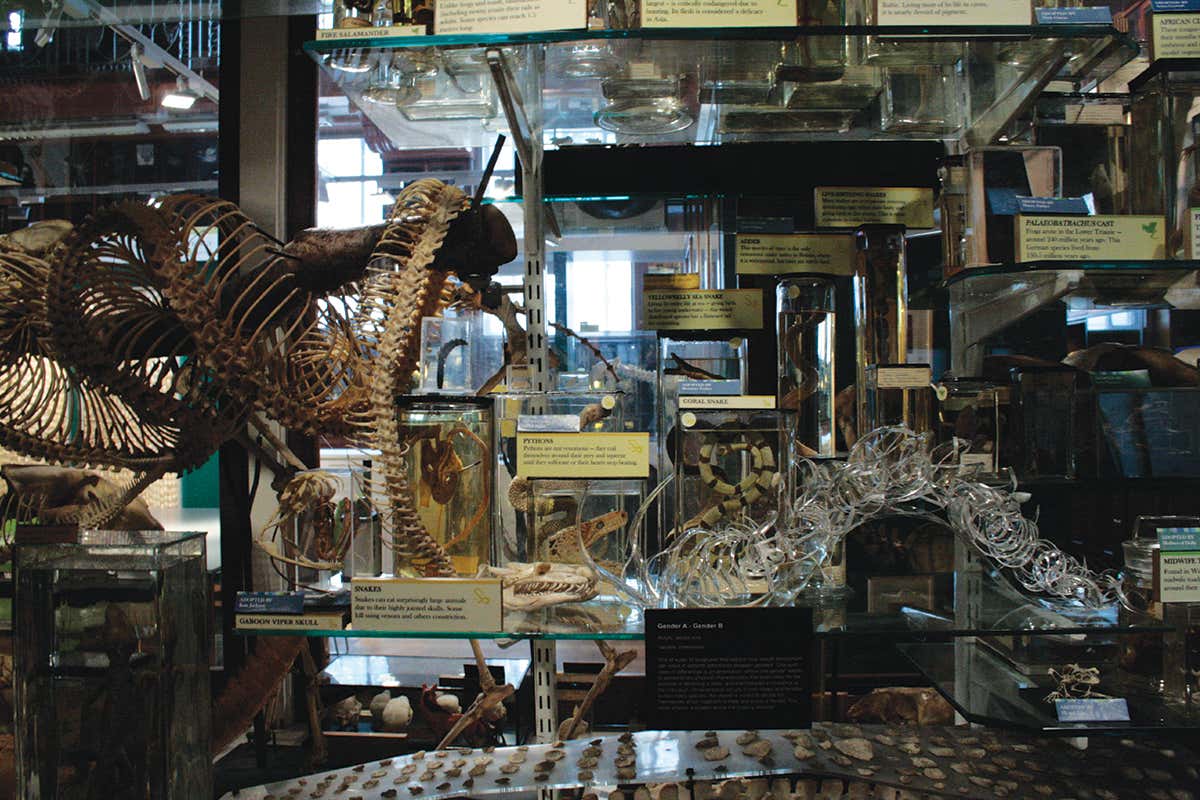 Don't miss: a chance to play WiFI Wars and revisit the Apollo 8 days