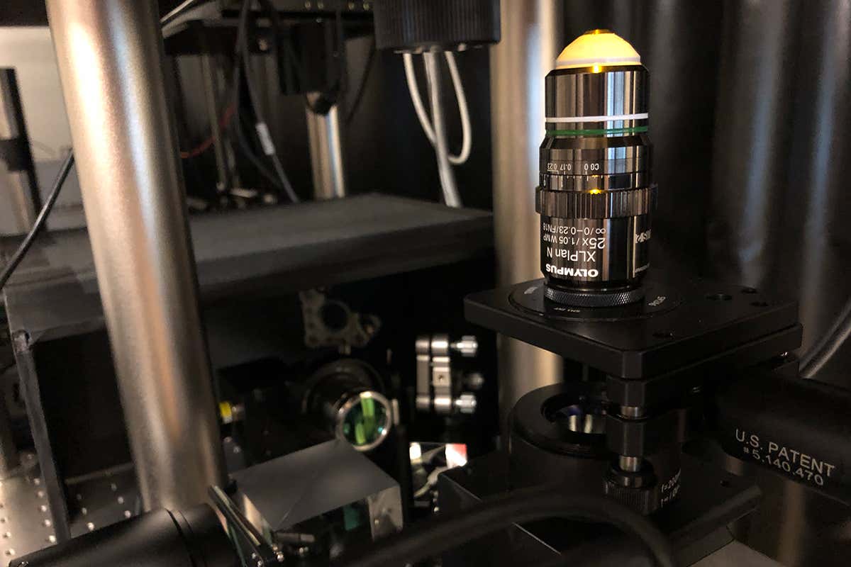 Lab equipment used for 3D printing