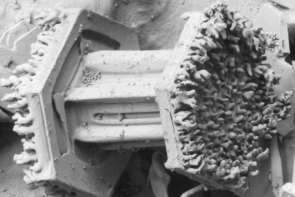 rime through an electron microscope