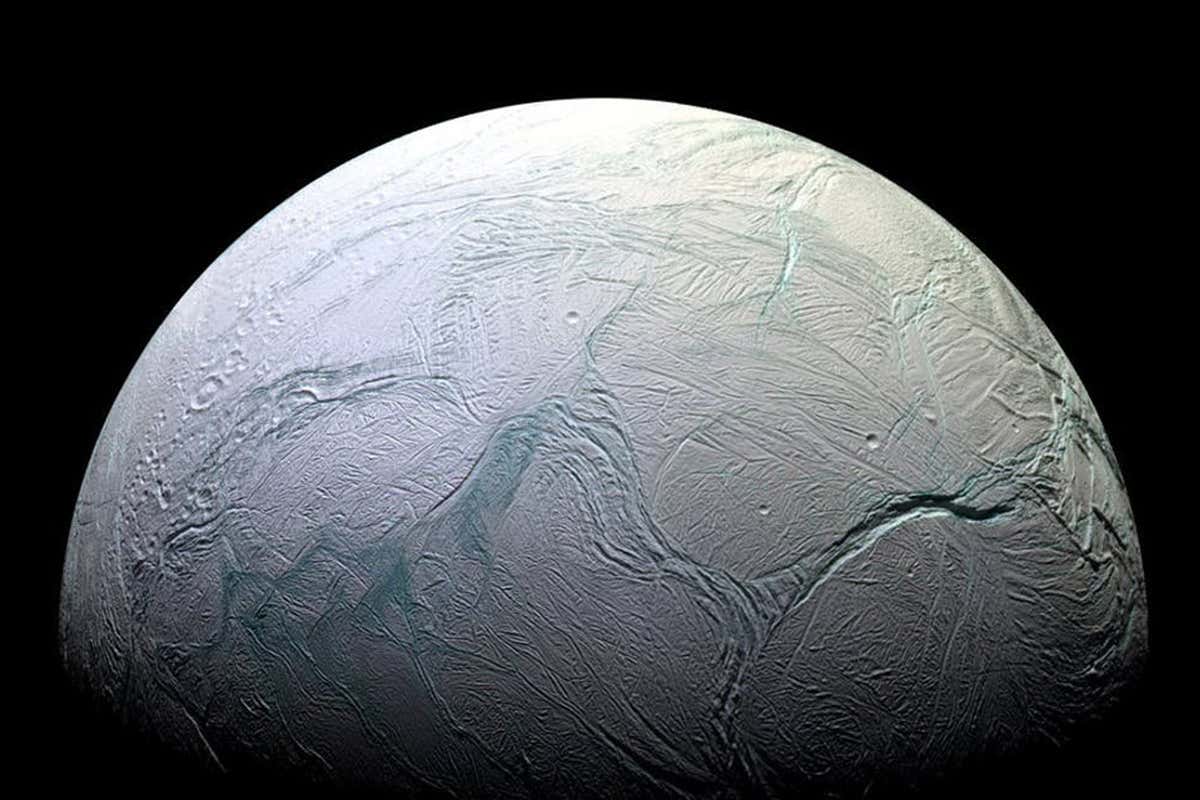 New Scientist. Science news and long reads from expert journalists, covering developments in science, technology, health and the environment on the website and the magazine.