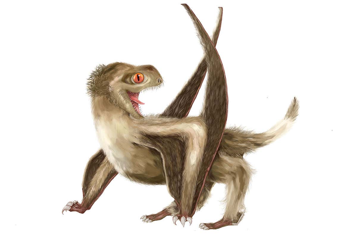 Pterosaur reconstruction
