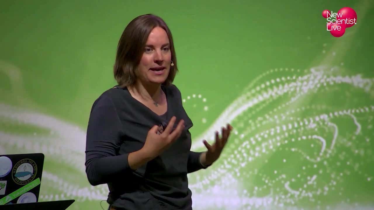 Isla Myers-Smith: Climate change and the greening of the Arctic