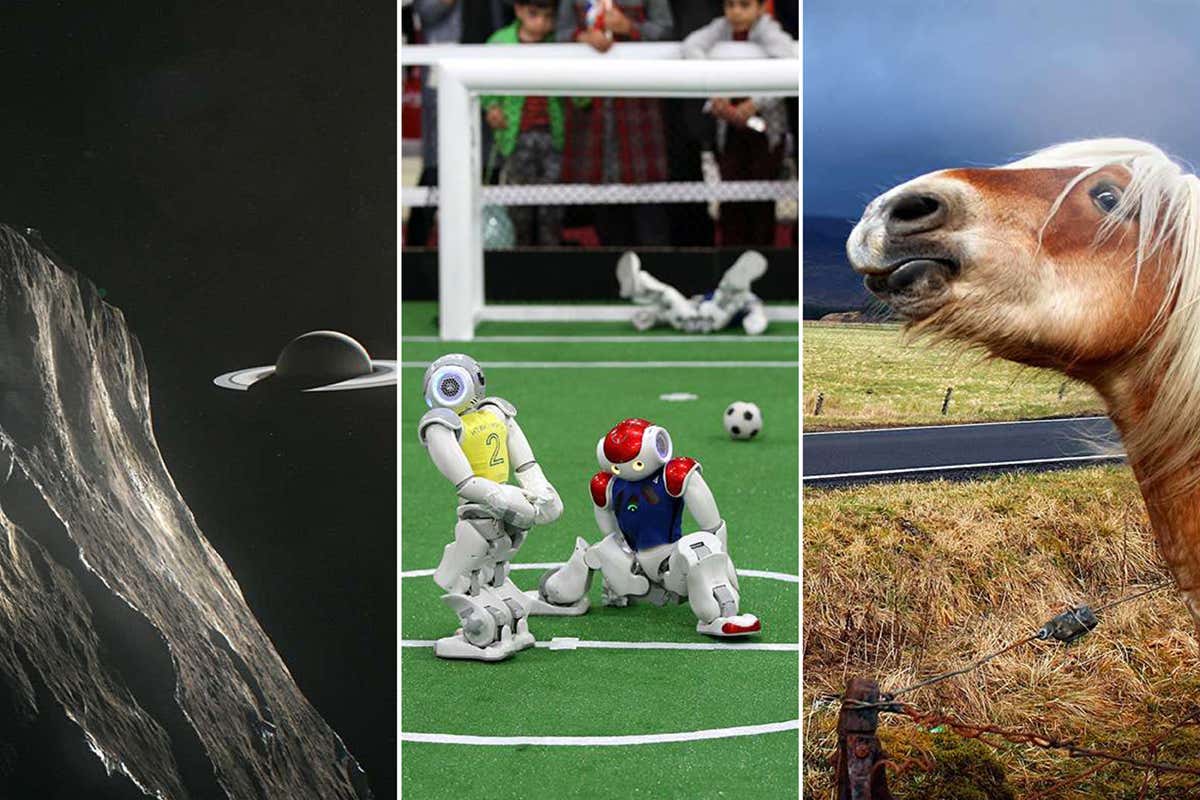 New Scientist. Science news and long reads from expert journalists, covering developments in science, technology, health and the environment on the website and the magazine.