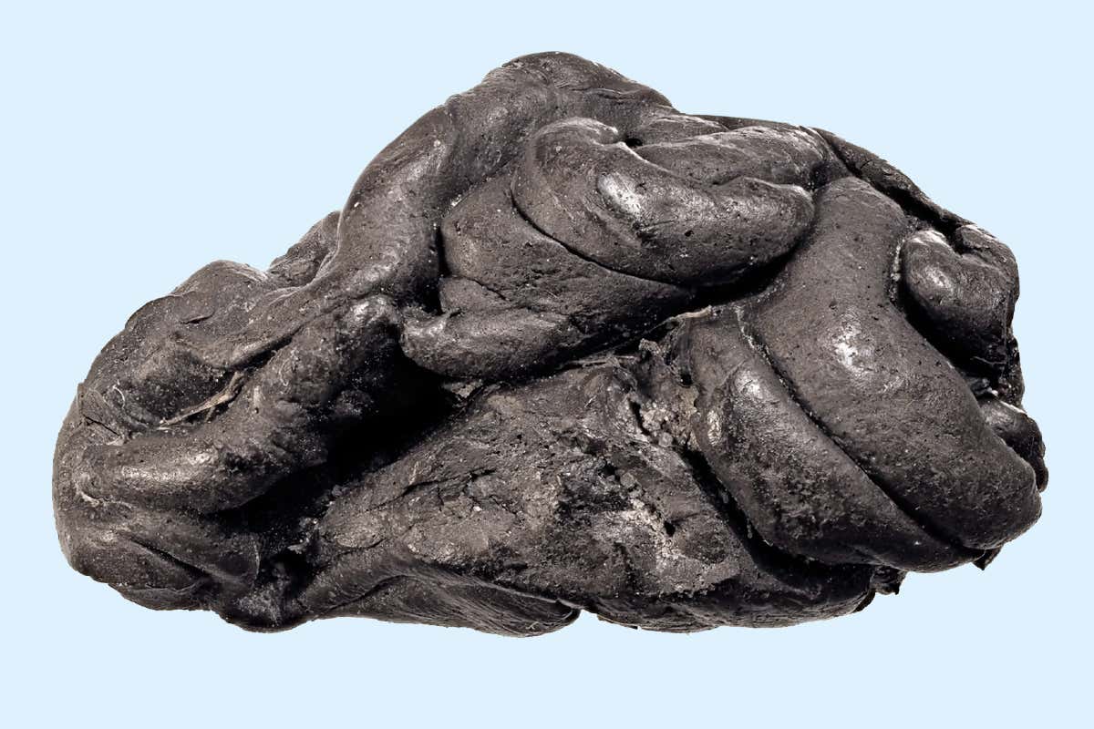 New Scientist. Science news and long reads from expert journalists, covering developments in science, technology, health and the environment on the website and the magazine.