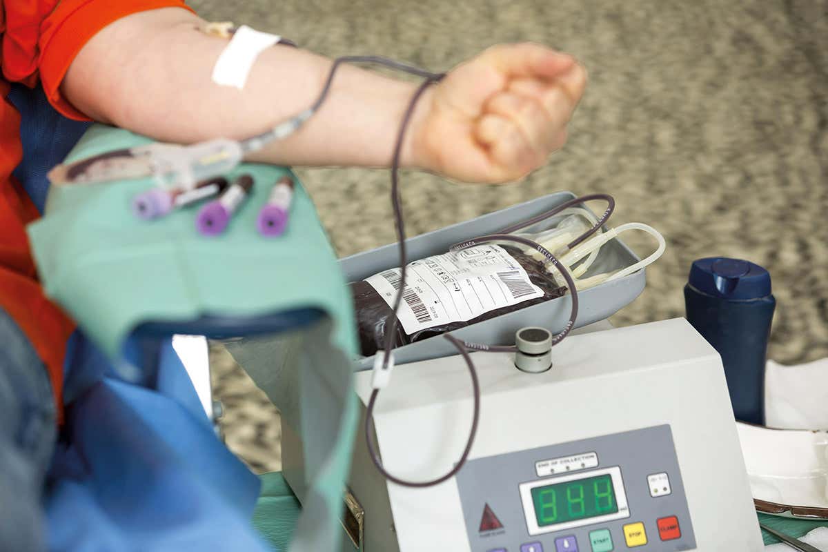 Blood from young people may have proteins with rejuvenating powers