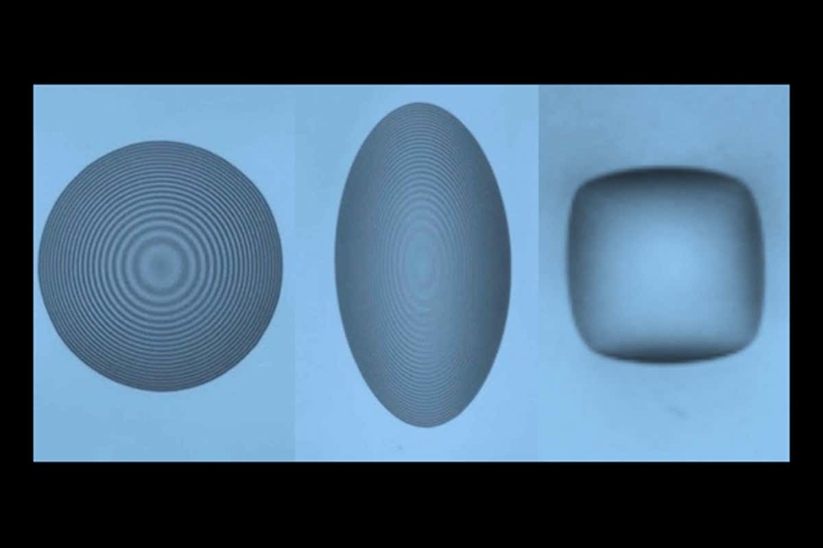 New Scientist. Science news and long reads from expert journalists, covering developments in science, technology, health and the environment on the website and the magazine.