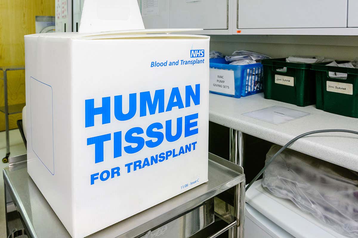 Burden of Genius review: The story of the first liver transplants