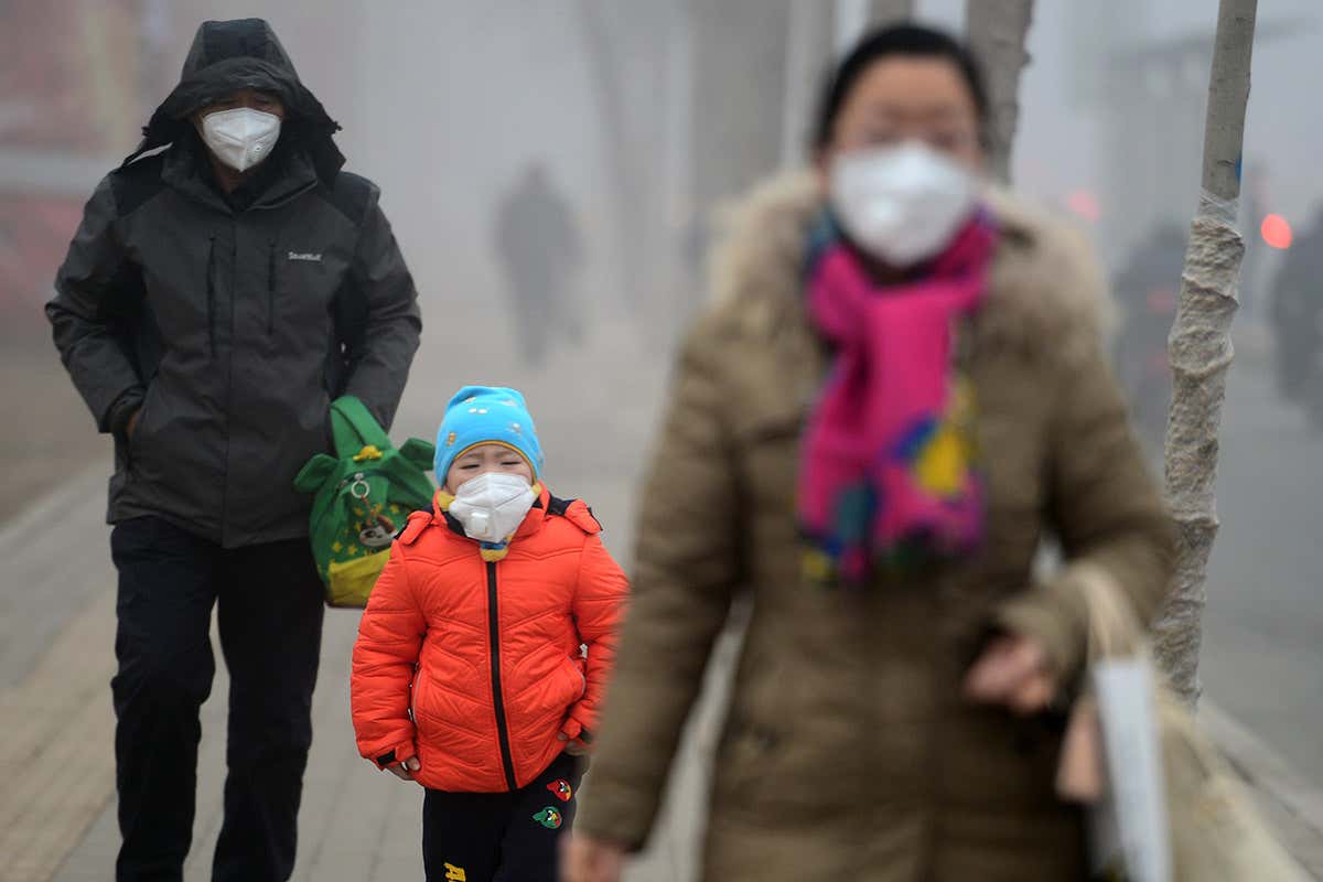 Bacteria have been discovered thriving in Beijing's smog