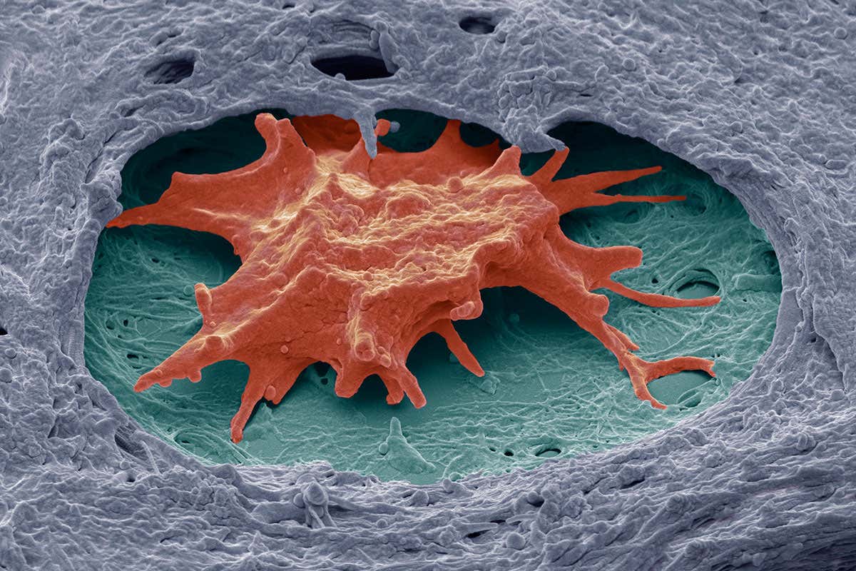 New Scientist. Science news and long reads from expert journalists, covering developments in science, technology, health and the environment on the website and the magazine.