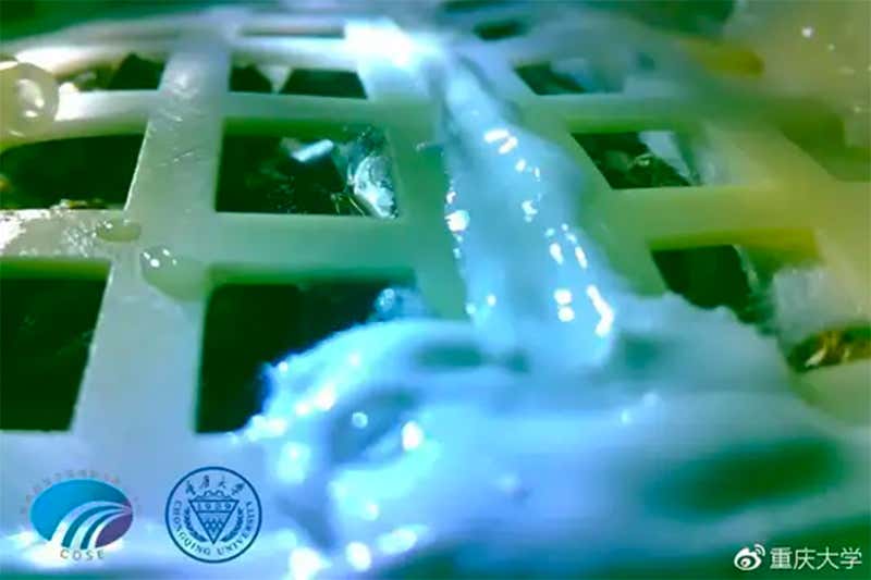 First moon plants sprout in China's Chang'e 4 biosphere experiment