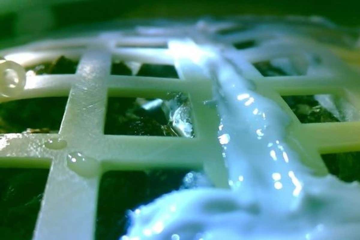 New Scientist. Science news and long reads from expert journalists, covering developments in science, technology, health and the environment on the website and the magazine.