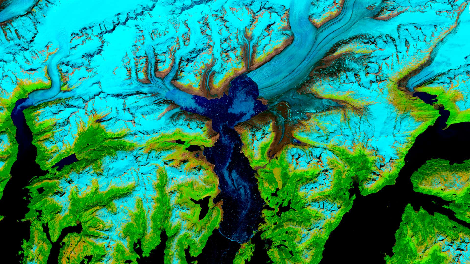 New Scientist. Science news and long reads from expert journalists, covering developments in science, technology, health and the environment on the website and the magazine.