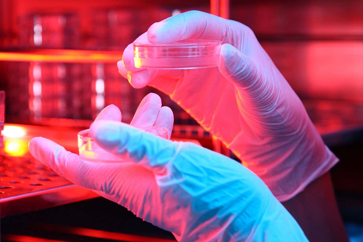 A person holding a dish