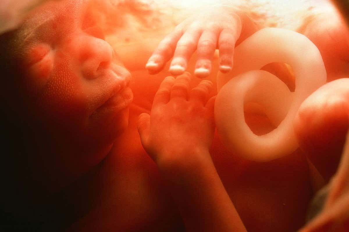 Blood test can diagnose fetal genetic disorders early in pregnancy