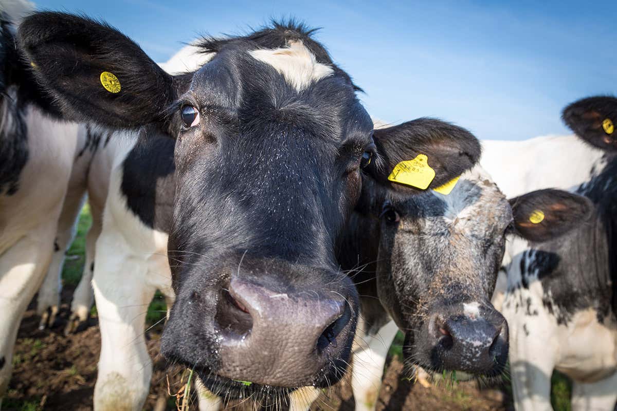 New Scientist. Science news and long reads from expert journalists, covering developments in science, technology, health and the environment on the website and the magazine.