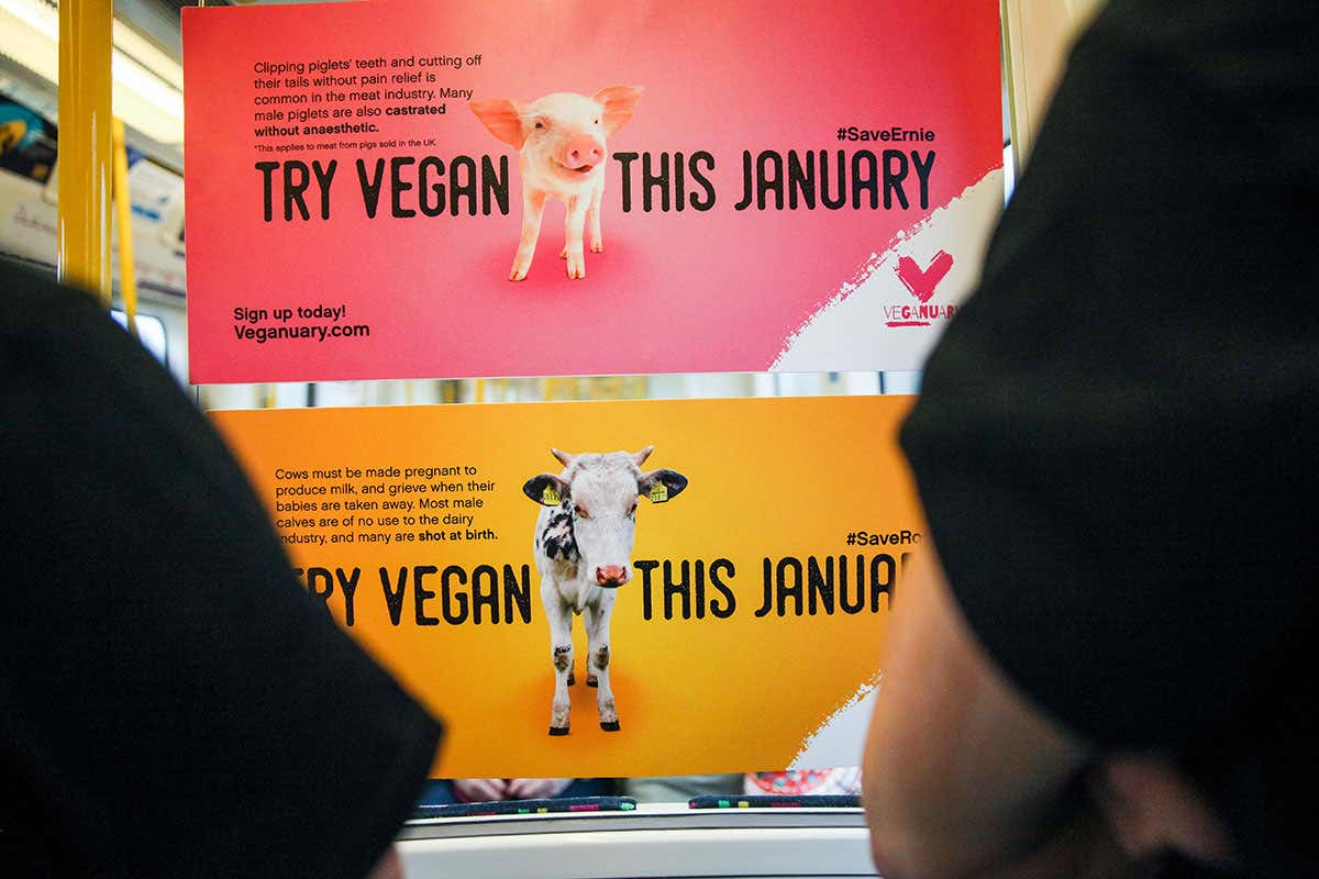 veganuary poster