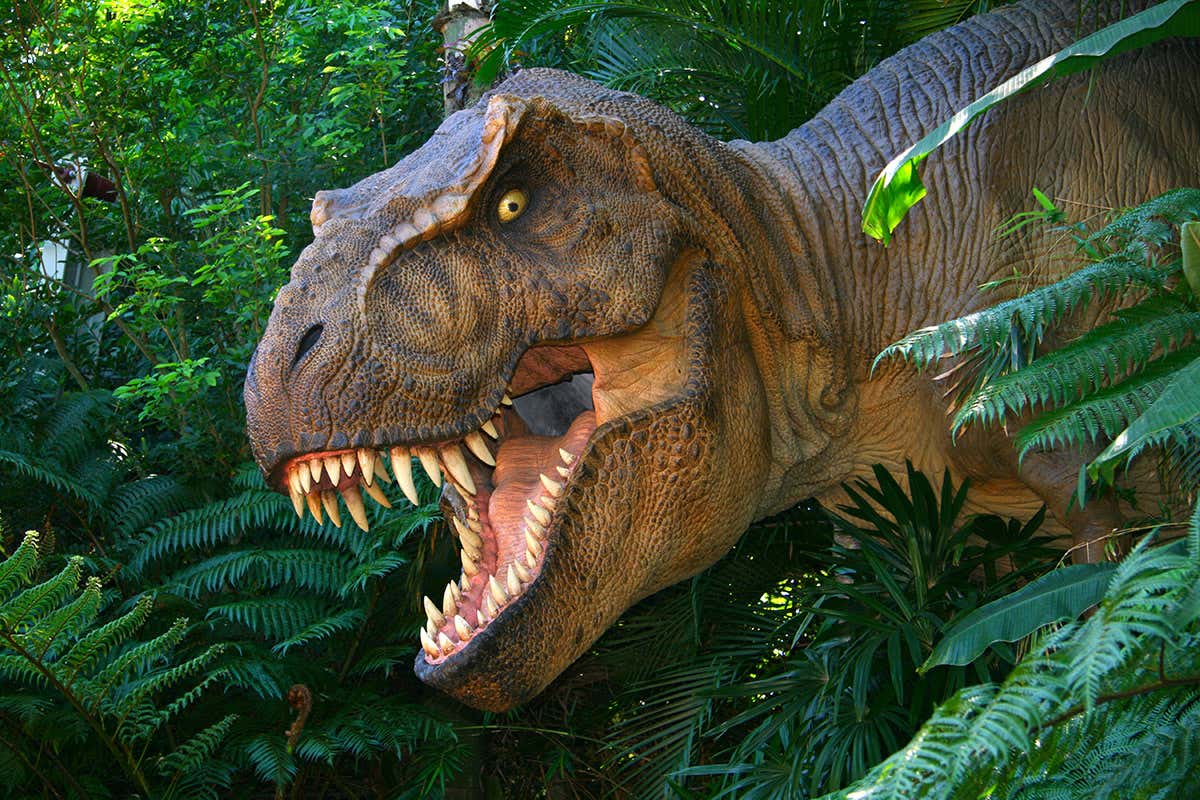 Tyrannosaurus rex might have accidentally helped fruit grow