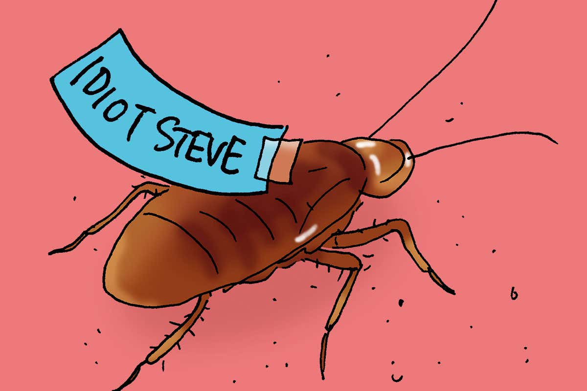 cockroach cartoon