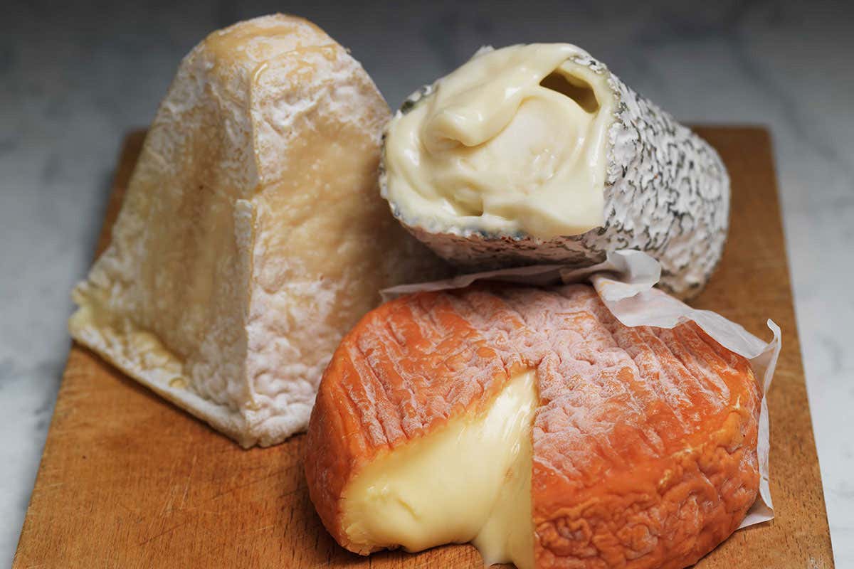 The truth about cheese: The terrible costs of our favourite food